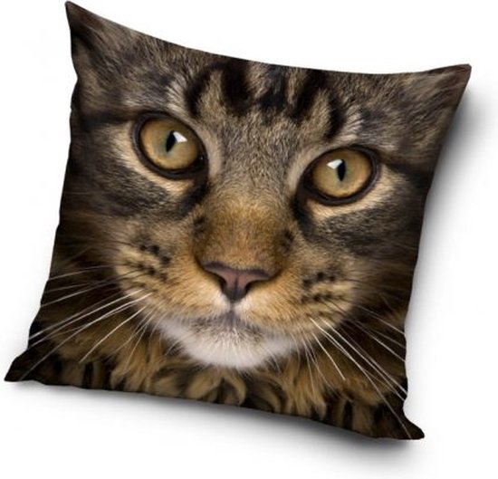 Rembourrage coussin 40x40 cm en livraison gratuite