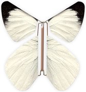 Magic Butterfly ® - Opdraai Vlinder - Magische Vlinders - Vlinder voor in een kaart - Nature Koolwitje 10 stuks