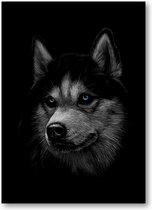 Siberische husky met blauwe ogen - 50x70 Forex Staand - Dieren
