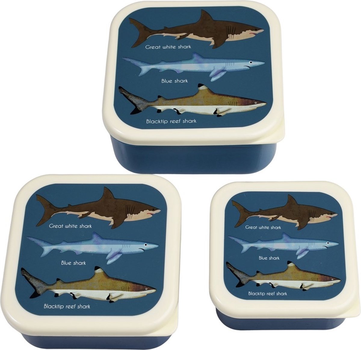 Rex London - Snackdoosjes 'Sharks' - Set van 3