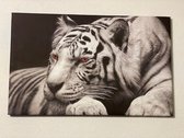 Canvas schilderij - Witte tijger - Wanddecoratie - Poster - 50x75 cm