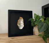 Gouden oester in zwarte lijst - 25 x 25 cm - Uniek - Handbewerkt