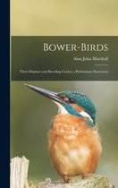 Bower-birds