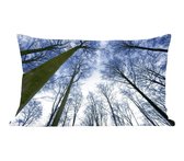 Sierkussen' intérieur Forest - Forêt de hêtres en hiver bleu ciel - 50x30 cm - Coussin intérieur rectangulaire en coton