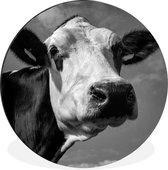 Wandcirkel - Aluminium - Een Friese koe met een witte kop - zwart wit - ⌀ 60 cm