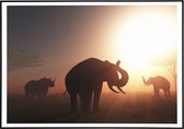Poster van olifanten bij zonsondergang - 50x70 cm