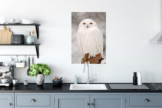 Poster photo portrait d'un harfang des neiges 40x60 cm - Tirage photo sur Poster (décoration murale salon / chambre)