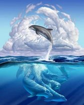 TOPMO -Free Dolphin- Diamond painting- HQ Diamond Painting pakket - VOLLEDIG dekkend - Diamant Schilderen - voor Volwassenen – ROND- 40X50CM