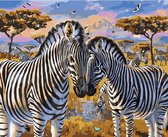 Paint By Numbers Zebra's - Schilderen op Nummer - 40x50cm - Volwassenen - Stipco