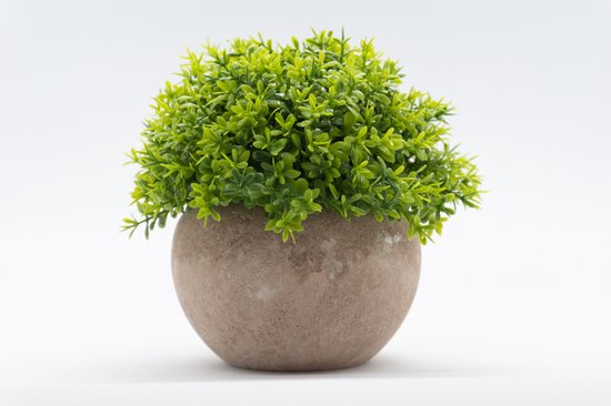 Plante artificielle verte aux petites feuilles rondes dans un pot rond gris.