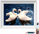 Artstudioclub®  Diamond painting volwassenen Swan in het water 25 x 30 cm