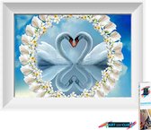 Artstudioclub®  Diamond painting volwassenen Twee zwanen in hartvorm 25 x 30 cm