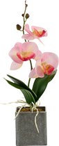 Ibergarden Kunstplant Orchidee 17 X 8 X 27 Cm Roze/grijs