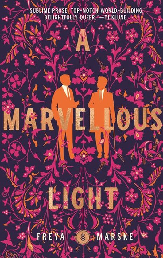 The Last Binding 1 - A Marvellous Light - cover