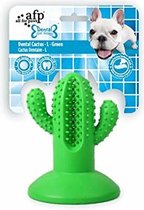All For Paws Dental Chews-Cactus rubber L