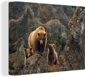 Canvas Schilderij Grizzlybeer - Stenen - Jongen - 40x30 cm - Wanddecoratie