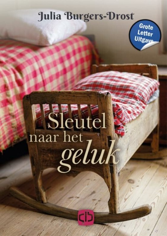 Sleutel naar het geluk - cover