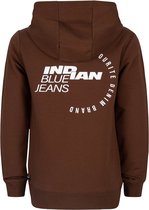 Indian Blue jongens hoodie met print achterop Brown