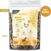 Studio Proud - Puppy hondenvoer - kip - krokant - speciaal voor grote hondenrassen - 20 kg - Proud Puppy - Chunky Chicken - Crunchy -  Large Breed