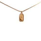 RVS ketting | Snake ketting met tag maan | goud | Dames