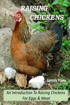 Raising Chickens - An Introduction To Raising Chickens For Eggs & Meat