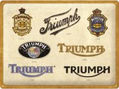 Wandbord - Triumph Logo Evolution