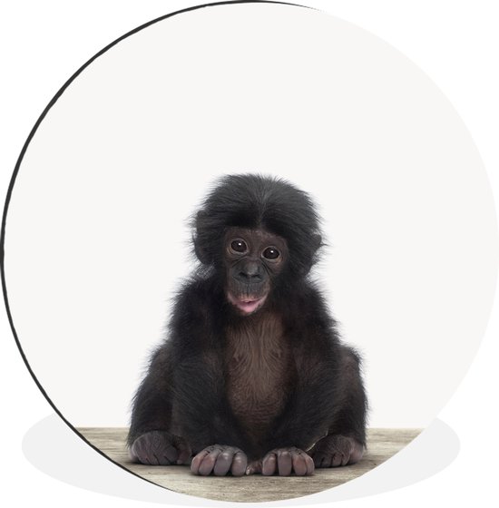 WallCircle - Wandcirkel - Muurcirkel - Dieren - Chimpansee - Baby - Aluminium - Dibond - ⌀ 90 cm - Binnen en Buiten