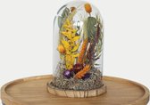 Droogbloemenboeket - Droogbloemen - Droogbloemen in glazen Stolp 22cm - Decoratie - Bloemen in glas