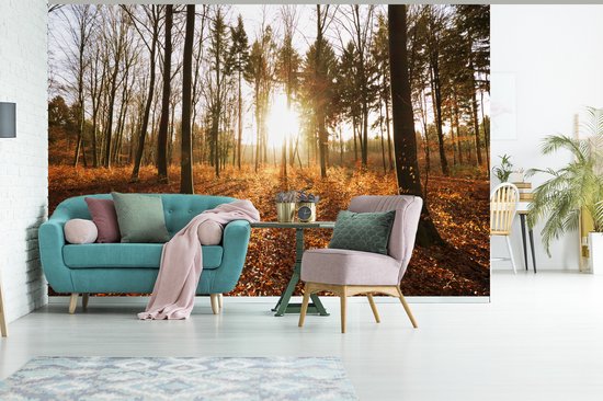 Papier peint photo en vinyle - Le soleil d'automne brille à travers les arbres au coucher du soleil largeur 360 cm x hauteur 240 cm - Tirage photo sur papier peint (disponible en 7 tailles)