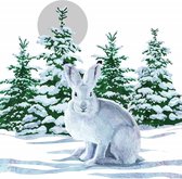 PPD - servetten - 33x 33 - lunchservetten - Winter - Snow Rabbit