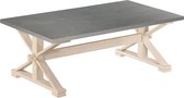 Salontafel met blad van zink 110x60x40 cm massief mangohout
