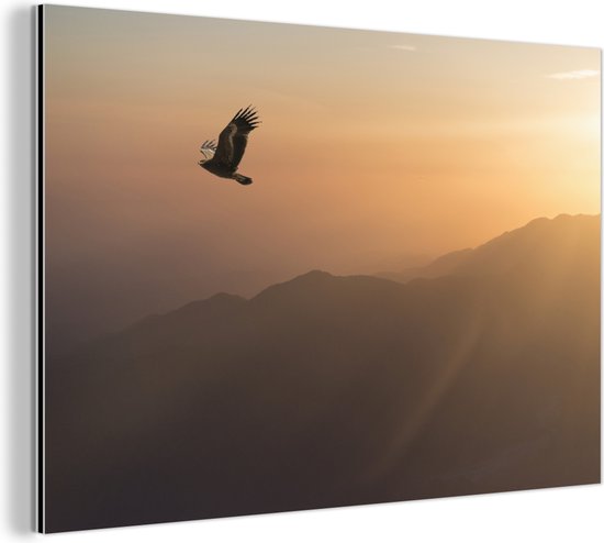 Wanddecoratie Metaal - Aluminium Schilderij Industrieel - Zeearend - Vliegend - Natuur - Zon - Licht - Vogels - 60x40 cm - Dibond - Foto op aluminium - Industriële muurdecoratie - Voor de woonkamer/slaapkamer