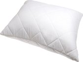 Cotton Comfort Hoofdkussen (BE) - Dreampearls - 60x60 cm - Wit