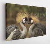 Onlinecanvas - Schilderij - Natuur Vogel Liefdeshart Art Horizontaal Horizontal - Multicolor - 80 X 60 Cm