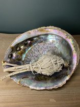 Abalone schelp  | Schelp | Thuis Decoratie | Natuursteen | Mineraalsteen | Mineralen | Edelsteen | Edelstenen | Kristallen | Woonkamer | Accesoires