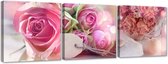 Trend24 - Canvas Schilderij - Roze Rozen - Schilderijen - Bloemen - 120x40x2 cm - Roze