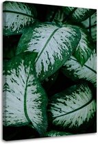 Trend24 - Canvas Schilderij - Tropische Bladeren Wit En Groen - Schilderijen - Bloemen - 60x90x2 cm - Groen