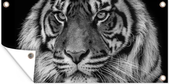 Affiche de jardin Profil animal Tigre de Sumatra en noir et blanc - 80x40 cm - Décoration murale Outdoor - Affiche de jardin - Toile de jardin - Affiche de clôture - Peinture de jardin