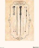 HARRY POTTER THE WAND - Art Collector Print 30x40 cm