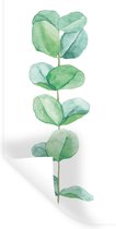 Muurstickers - Sticker Folie - Waterverf - Eucalyptus - Plant - 80x160 cm - Plakfolie - Muurstickers Kinderkamer - Zelfklevend Behang - Zelfklevend behangpapier - Stickerfolie