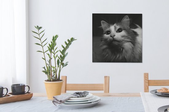 Tableau sur toile Profil animal chat en noir et blanc - 50x50 cm - Décoration murale