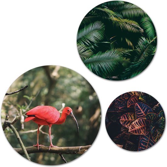 Forex Muurcirkel Set -  Set Rode Vogel Jungle, Palmbladeren - Set van 3 Wandcirkels met Ophangsystemen - 30x40x50