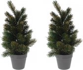 Set van 2x stuks mini kerstboom met gouden glitters 40 cm