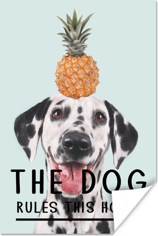 Affiche - Citation de Chiens 'Le chien gouverne cette maison' sur fond avec un dalmatien - 20x30 cm