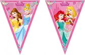 Vlaggenlijn Disney Princess 2,3 m polyester  Roze - vlaggenlijn verjaardag - Disney - verjaardag - feest vlaggen - vlaggen - Slingers - Prinsessen