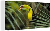 Tableau toile Toucan - Feuilles - Branche - 80x40 cm - Décoration murale