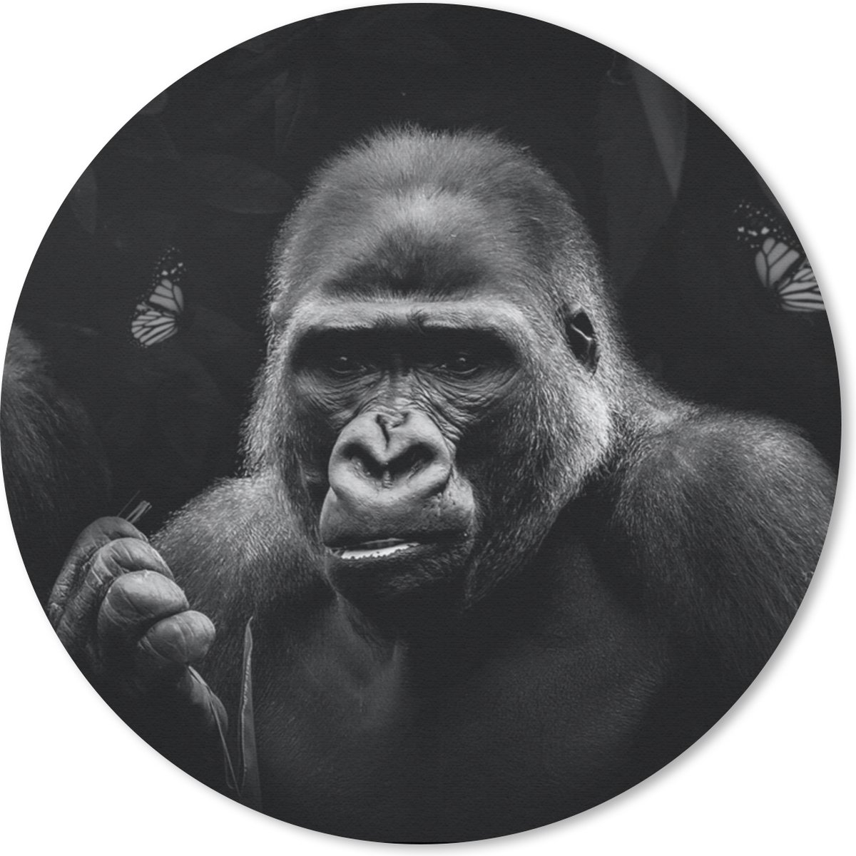 Muismat rond 20x20 cm - Mousepad Dieren - Aap - Gorilla - Zwart - Wit - Ronde muismatten