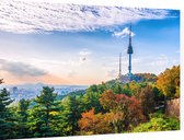 De N Tower op de populaire Namsanberg in hartje Seoul - Foto op Dibond - 90 x 60 cm