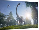 Dinosaurus langnek surprise (Alamosaurus) - Foto op Dibond - 90 x 60 cm