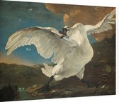 De bedreigde zwaan, Jan Asselijn - Foto op Dibond - 80 x 60 cm